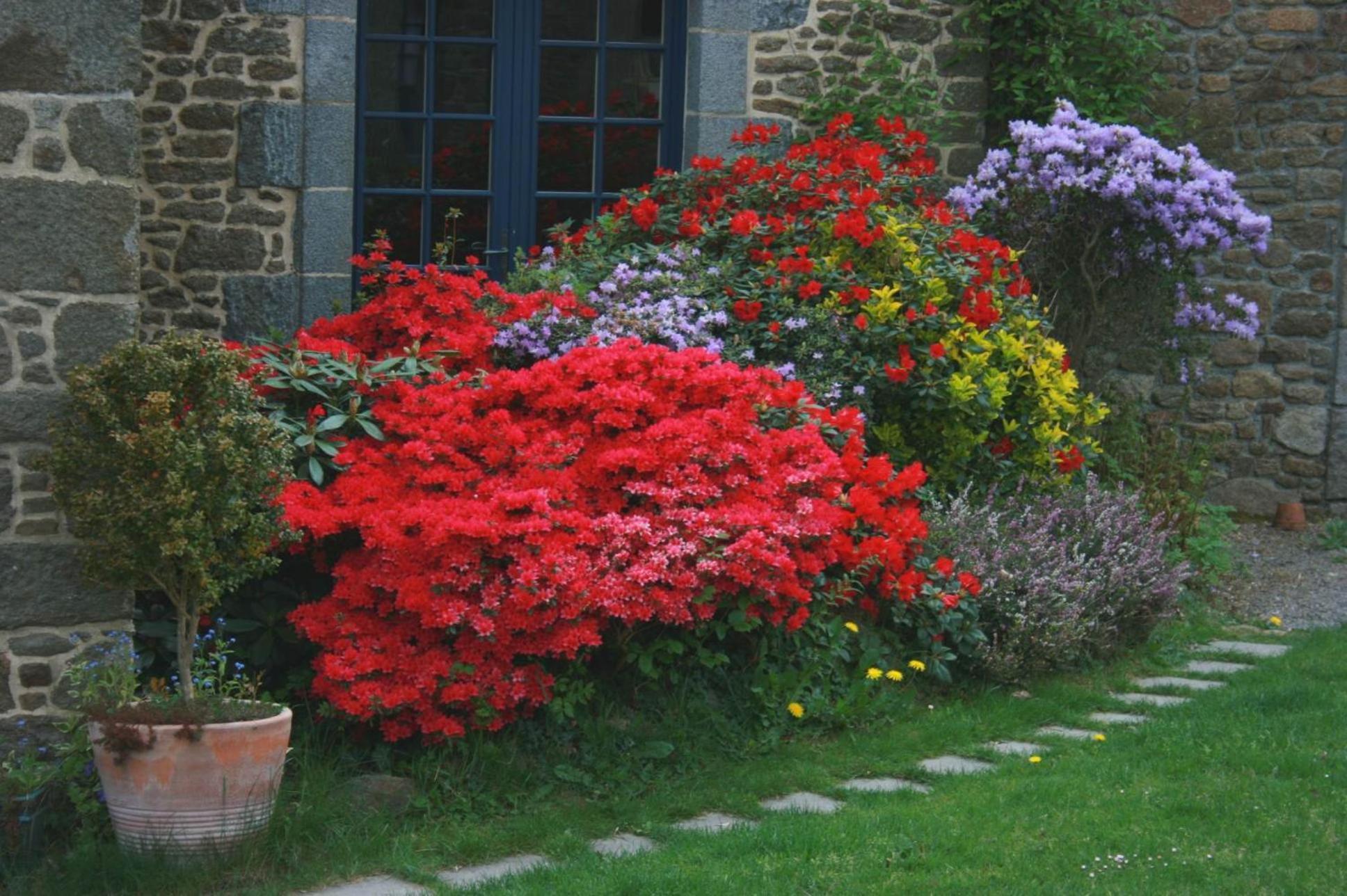 Au Pont Ricoul Bed and Breakfast Saint-Pierre-de-Plesguen Buitenkant foto