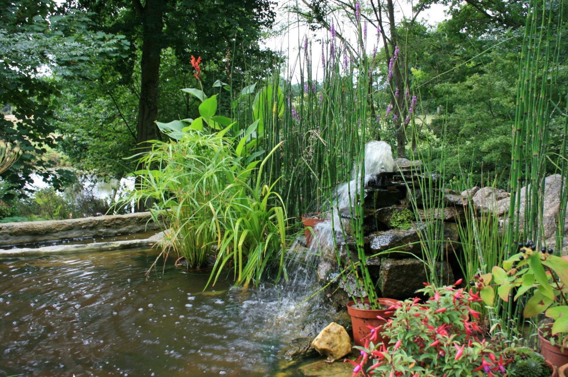 Au Pont Ricoul Bed and Breakfast Saint-Pierre-de-Plesguen Buitenkant foto